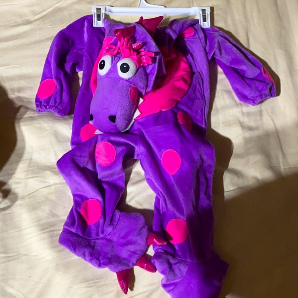 Teagan the Dragon costume